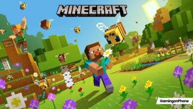 Minecraft Game Cover, Minecraft Server Hosting Plans 2024
