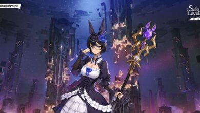 Solo Leveling Arise Lee Bora Build Guide